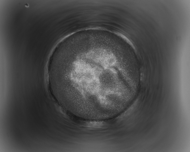 X0000087751117200705291028