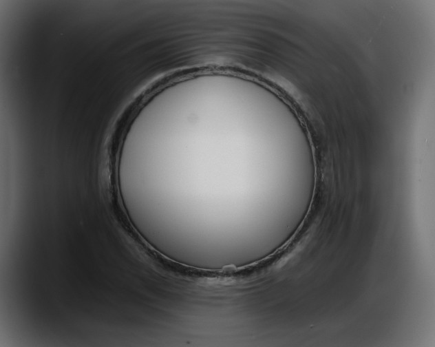 X0000087751118200705291028