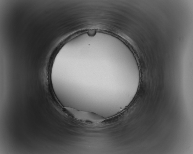 X0000087751120200705291028