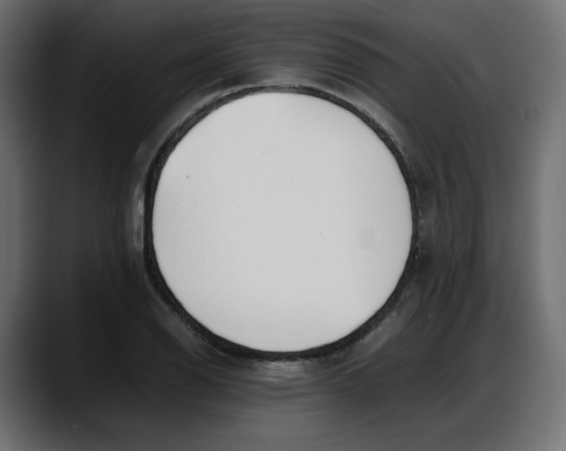 X0000087751126200705291028