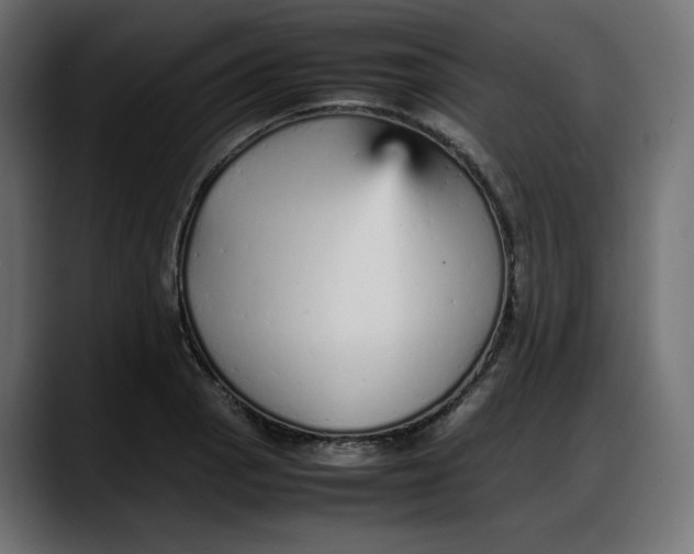 X0000087751129200705291028