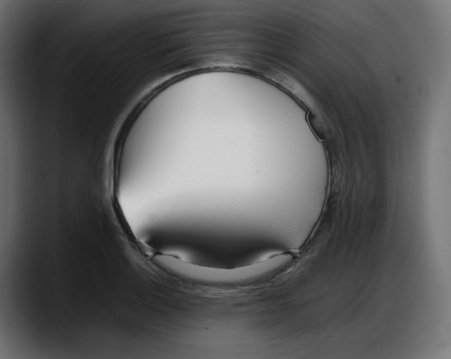 X0000087751132200705291028