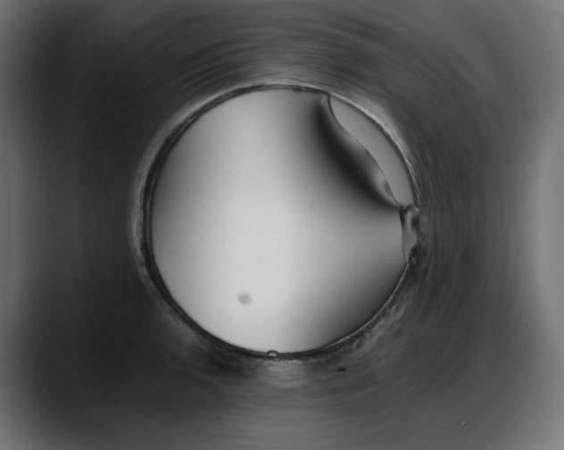 X0000087751136200705291028