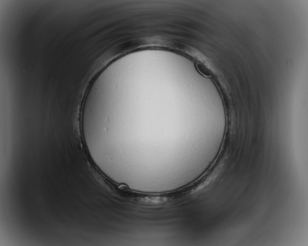 X0000087751137200705291028