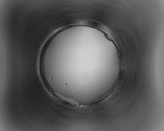 X0000087751139200705291028