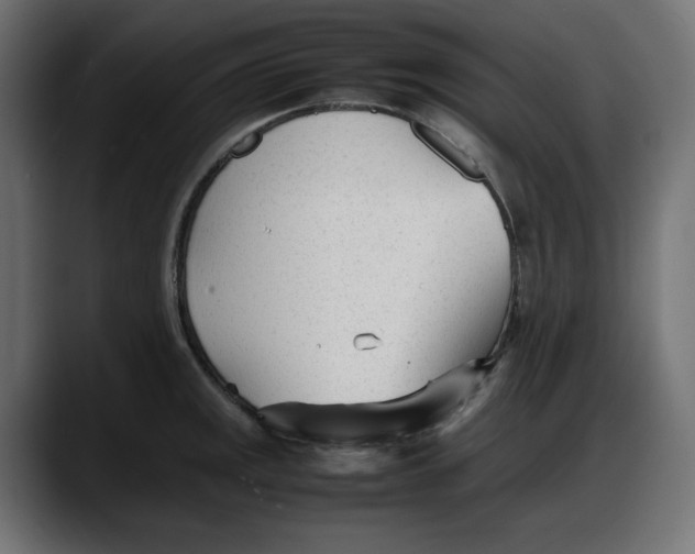 X0000087751141200705291028