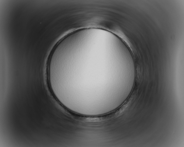 X0000087751142200705291028