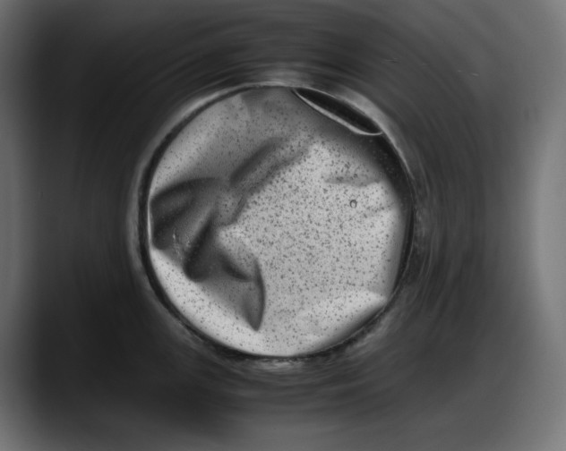 X0000087751147200705291028