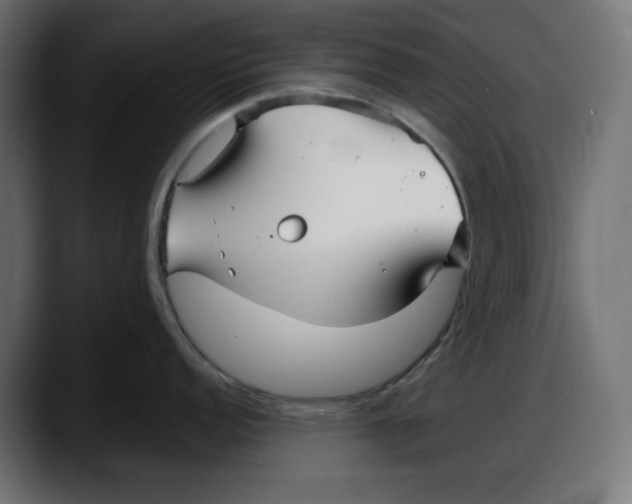 X0000087751152200705291028