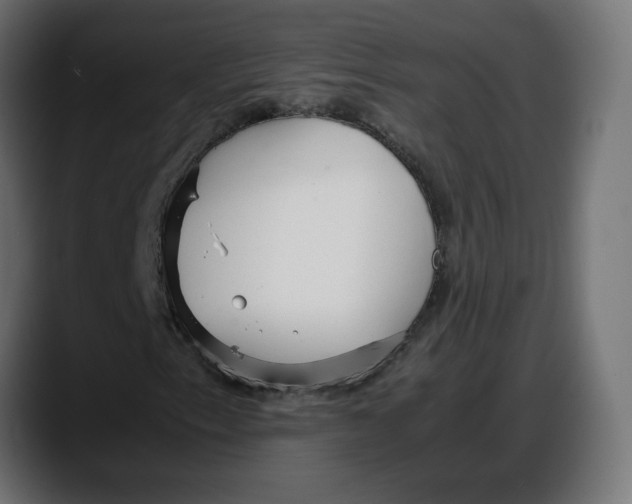 X0000087751153200705291027