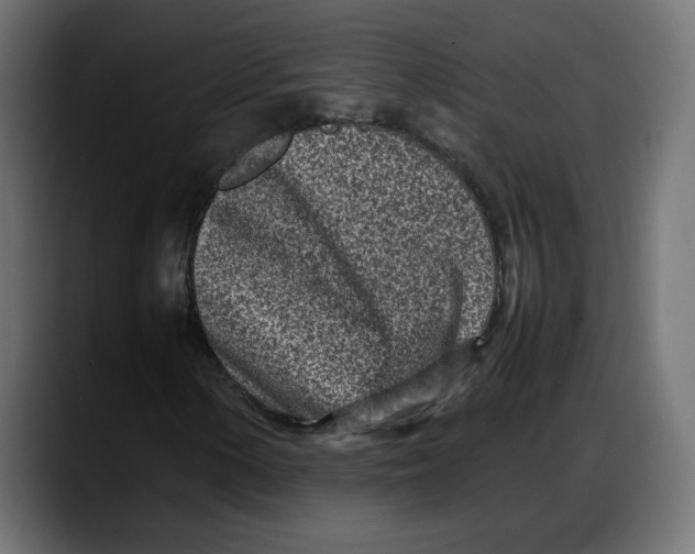 X0000087751154200705291027