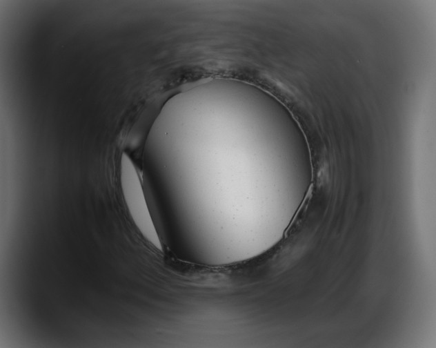 X0000087751156200705291027