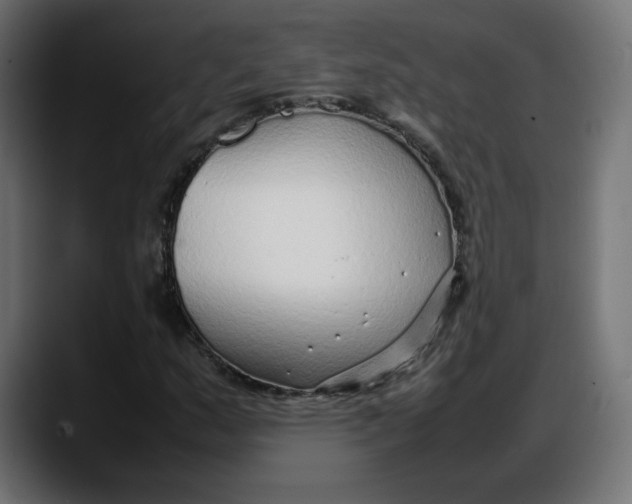 X0000087751159200705291027