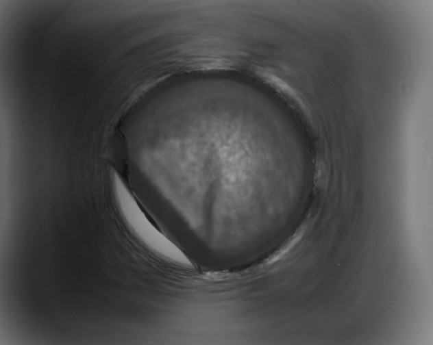 X0000087751161200705291027