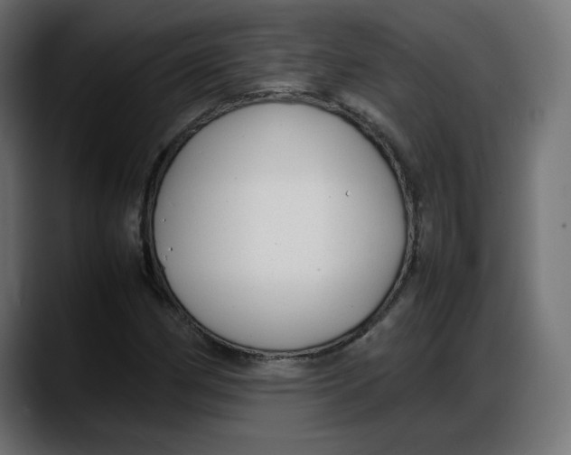 X0000087751162200705291027