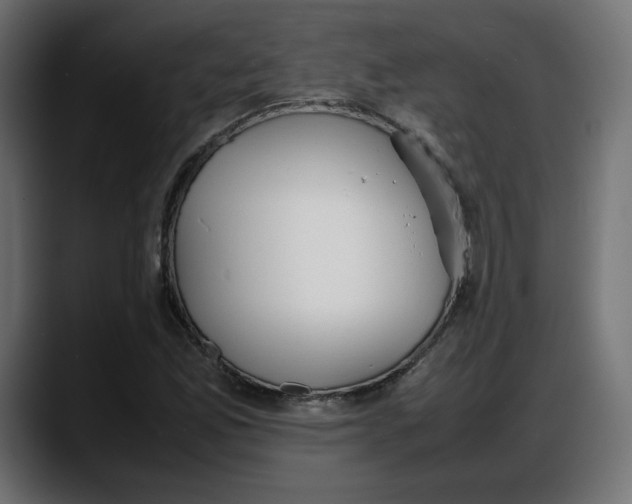 X0000087751165200705291027