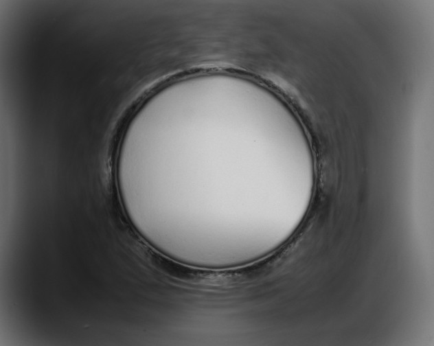 X0000087751167200705291027