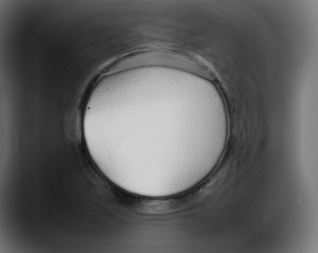 X0000087751171200705291027