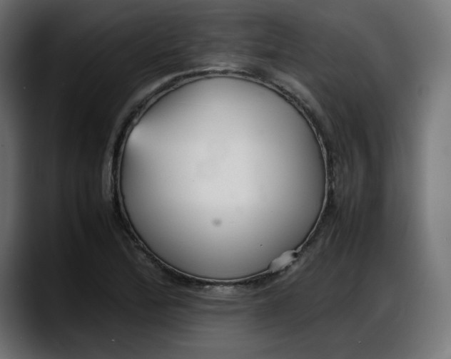 X0000087751172200705291027