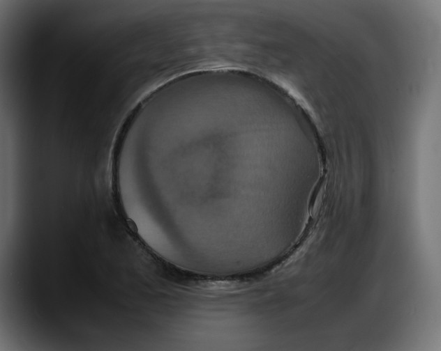 X0000087751173200705291027