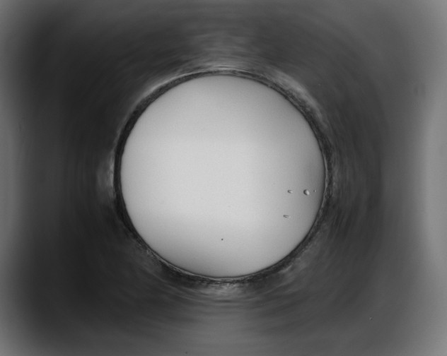 X0000087751174200705291027