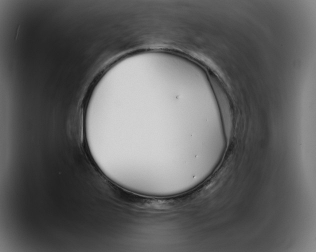 X0000087751175200705291027