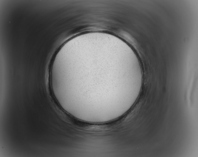 X0000087751179200705291027