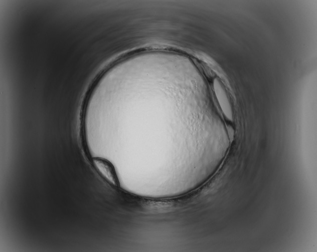 X0000087751183200705291027