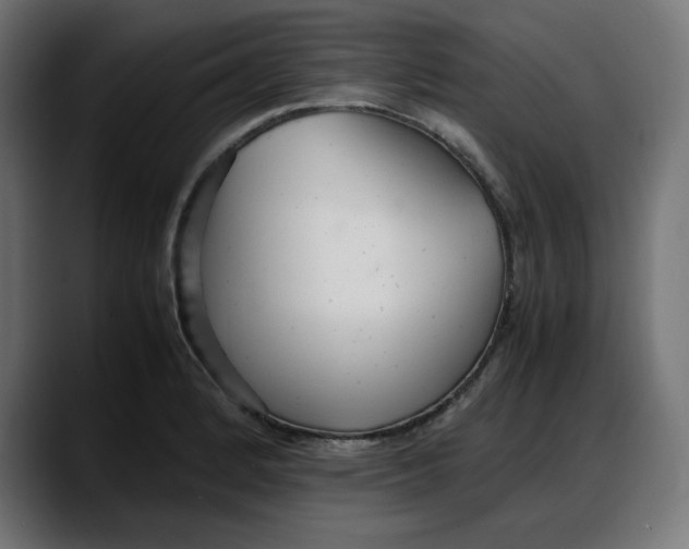 X0000087751184200705291027