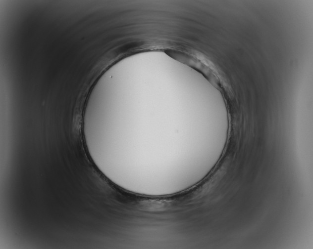 X0000087751185200705291027