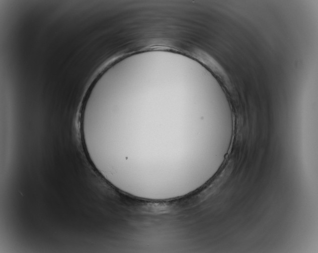 X0000087751190200705291027