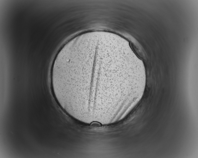 X0000087751191200705291027