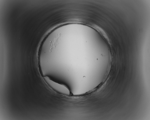 X0000087751192200705291027