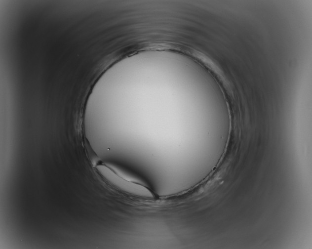 X0000087751193200705291027