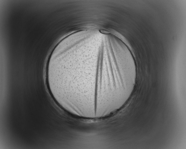 X0000087751195200705291027