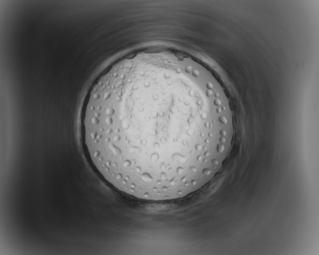 X0000087751199200705291027