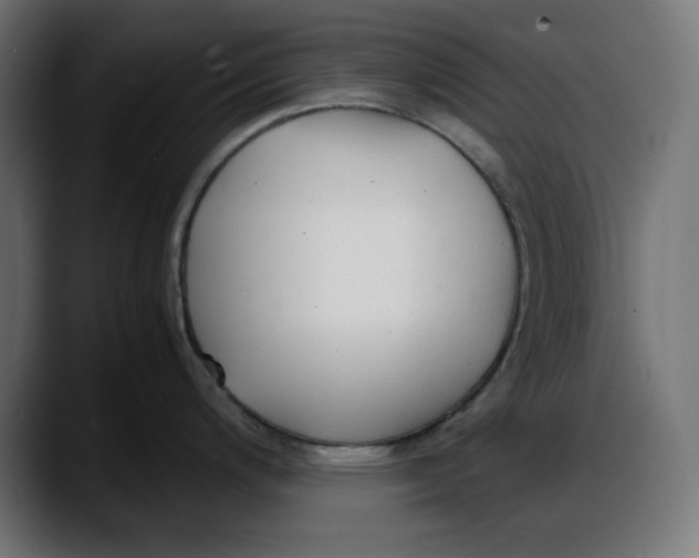 X0000087751200200705291027