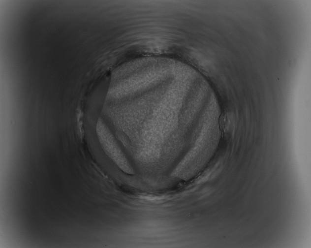 X0000087751202200705291026