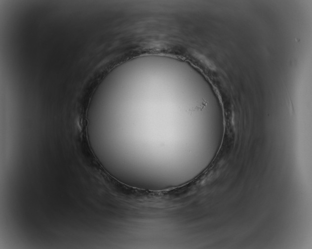 X0000087751206200705291026