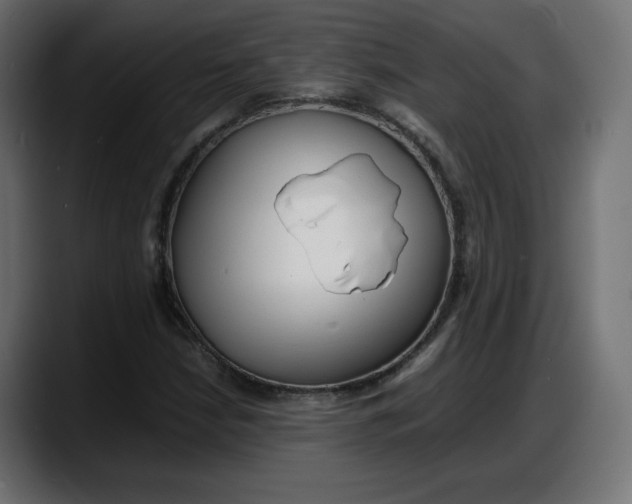 X0000087751210200705291026