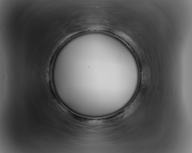 X0000087751212200705291026