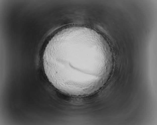 X0000087751215200705291026