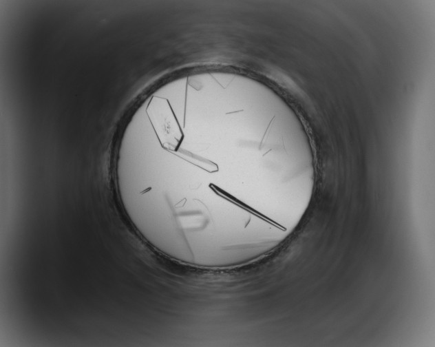 X0000087751216200705291026