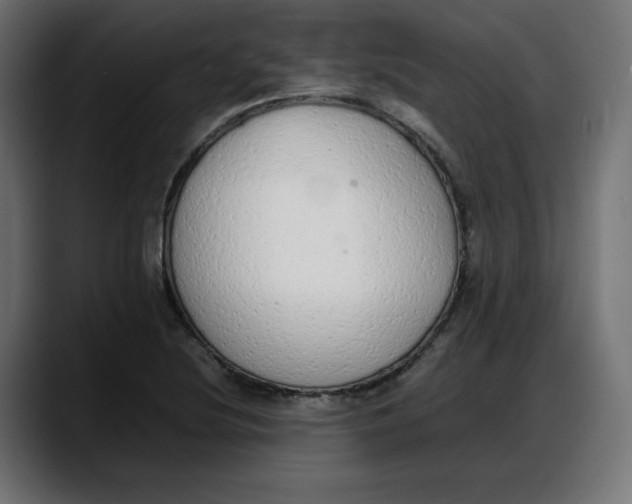 X0000087751220200705291026