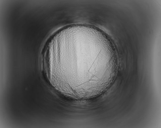 X0000087751223200705291026