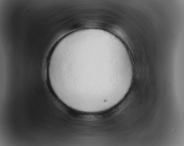 X0000087751227200705291027