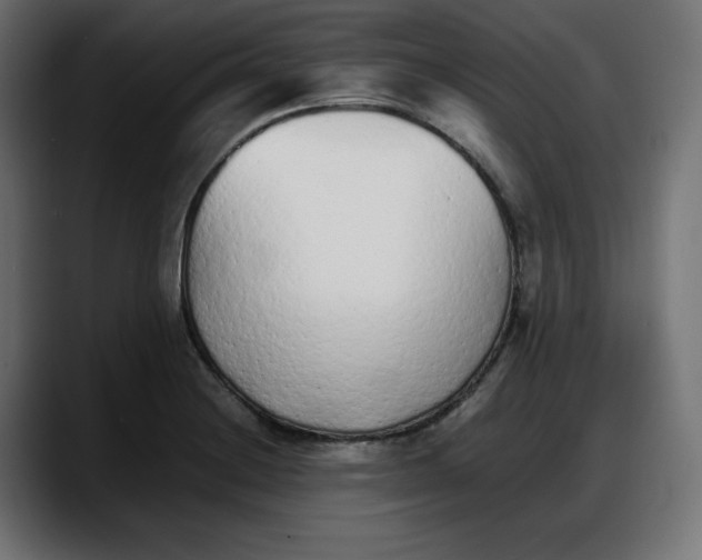 X0000087751228200705291027