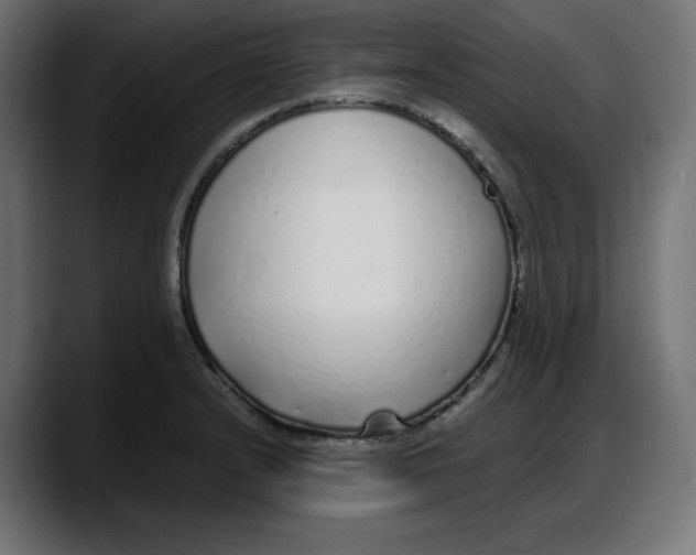 X0000087751232200705291027