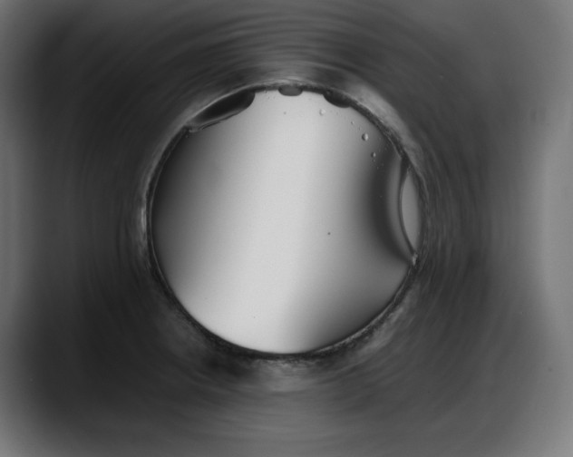 X0000087751234200705291027