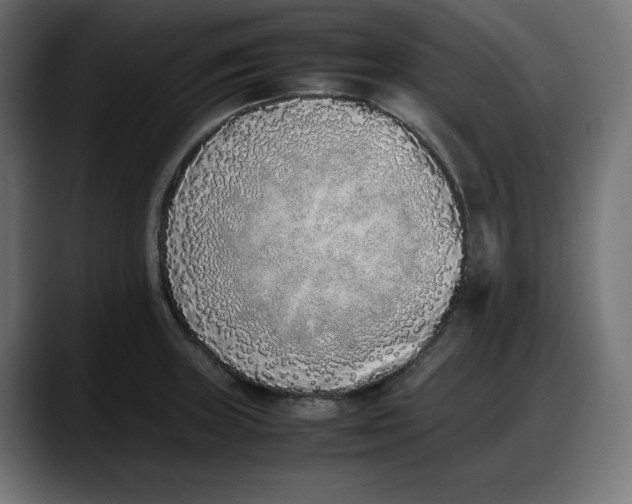 X0000087751235200705291027